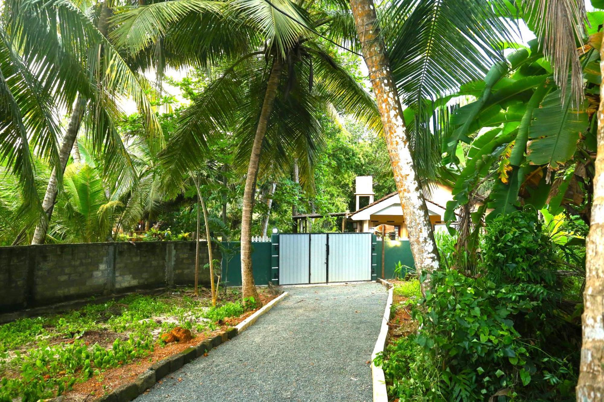 Sandy Palms Guesthouse Хиккадува Экстерьер фото