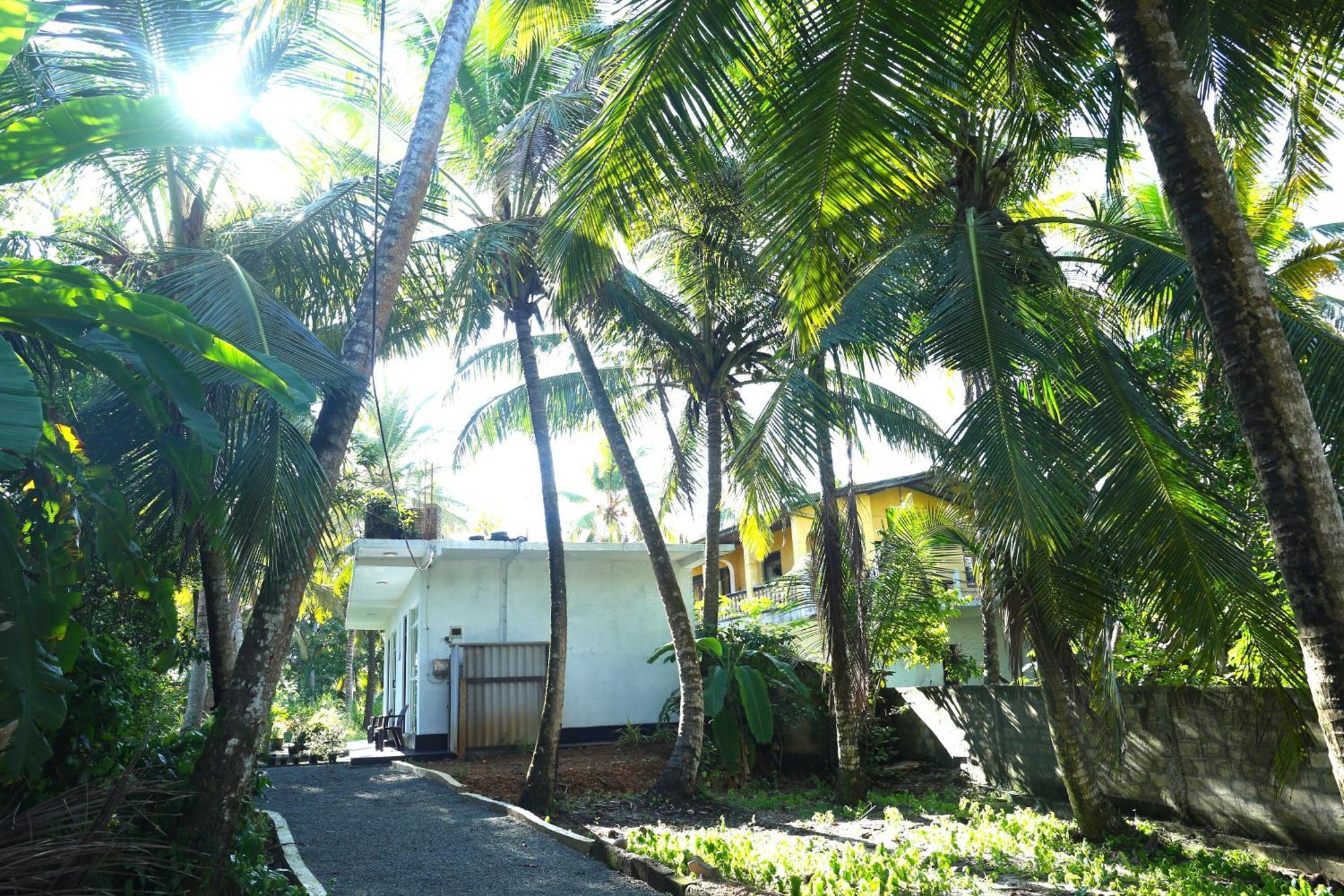 Sandy Palms Guesthouse Хиккадува Экстерьер фото
